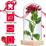 1 x RAW Customer Returns Beauty and the Beast Rose, Eternal Rose, Rose in Transparent Dome with LED Light, Forever Rose Flower Gift for Wedding, Valentine s Day, Mother s Day, Birthday, Thanksgiving - RRP €28.44