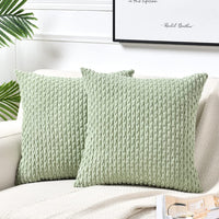 1 x RAW Customer Returns FDTERN Set of 2 50 x 50 cm Pale Green Corduroy Velvet Cushion Covers, Fluffy Boho Cushion Covers Cushion Cover Decorative Cushion Cover Sofa Cushion Couch Cushion Decorative Cushion Decoration- RRP €16.63