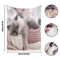 1 x RAW Customer Returns Cuddly blanket with cat motif 150x200cm, sofa blanket with animal motif, soft warm fleece blanket for adults, warm blankets for autumn winter B, 150x200cm  - RRP €36.98