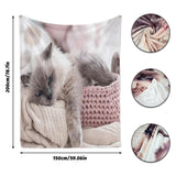 1 x RAW Customer Returns Cuddly blanket with cat motif 150x200cm, sofa blanket with animal motif, soft warm fleece blanket for adults, warm blankets for autumn winter B, 150x200cm  - RRP €36.98