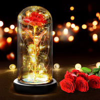 4 x Brand New RANJIMA Eternal Rose Teacher Gift, Infinity Rose in Glass Dome with LED Light, Educator Gift Farewell, Rose Flower Gift for Women, Wedding Anniversary Valentine s Day Mother s Day Birthday - RRP €62.92