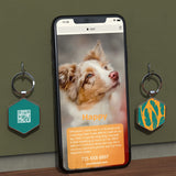 2 x Brand New DISONTAG Personalized Dog Tag QR Online Dog Identification Plate, Modify more profiles than Engraving - Protection of privacy - RRP €33.6