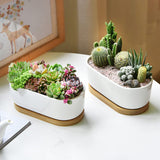 1 x RAW Customer Returns ARVINKEY White Ceramic Succulent Planters, Indoor and Outdoor Succulent Planters, Set of 2 Small Cactus Containers, Bonsai Pots, Flower Pots with Bamboo Tray No Plant  - RRP €21.17