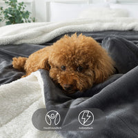 1 x RAW Customer Returns RATEL Sherpa Blanket High-quality cuddly blanket dark grey 150 200cm, fleece blanket reversible blanket made of high-quality microfiber for sofa blanket, bed-fluffy warm thick easy-care - RRP €29.72