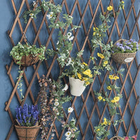 1 x RAW Customer Returns Wooden Trellis Frame Decoration Outdoor Garden Plant Climbing Extendable Fence Wooden Trellis 150 x 37 cm, 0.7 cm thick - RRP €18.04