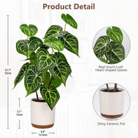 1 x RAW Customer Returns Briful 55CM Artificial Plant Anthurium Crystallinum Artificial Plants Like Real Decorative Plants Houseplant in Ceramic Pot for Home Resto Bathroom Decoration - RRP €35.28