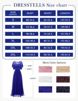 1 x RAW Customer Returns DRESSTELLS Women s Dresses for Wedding Guests Bridesmaid Dresses Long Elegant Chiffon Evening Dress Maxi Long Ball Gown Royal Blue XL - RRP €62.99