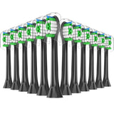 5 x RAW Customer Returns 12 Replacement Brushes Compatible with Philips Sonicare Electric Toothbrush, Brush Heads Toothbrush Attachment for Phillips Sonicare Black  - RRP €85.7