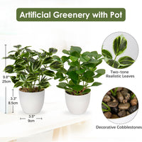 1 x RAW Customer Returns Briful 2PCS Artificial Plant Like Real Artificial Ficus Plants in Pot Small Decorative Plant for Windowsill Living Room Bathroom Decoration - RRP €32.08