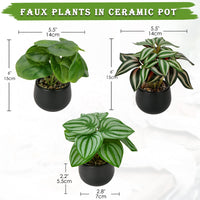 1 x RAW Customer Returns Briful set of 3 artificial plants, like real artificial houseplants, decorative plants for living room, bathroom decoration, height approx. 15 cm, in a black ceramic pot - RRP €24.19