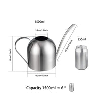 1 x RAW Customer Returns IMEEA 1L watering can, brushed stainless steel flower watering can with long spout, plant watering can, irrigation for indoor plants, bonsai in the office, home silver  - RRP €26.21