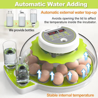 1 x RAW Customer Returns DETODDA fully automatic incubator, incubator for chickens with LED lighting, fully automatic incubator with temperature and humidity control, with automatic egg turner - green 18 eggs - RRP €93.77