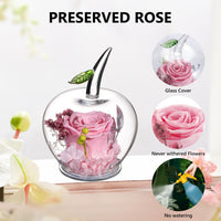 1 x RAW Customer Returns Handmade Preserved Flowers Rose Decor with Apple Shaped Glass Lovers, Christmas Eve, Valentine s Day, Mother s Day, Birthday, Wedding Anniversary, Pink - RRP €29.99