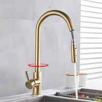 1 x RAW Customer Returns Saeuwtowy Detachable Kitchen Faucet 2 Functions 360 Rotatable with Mixer Tap Gold - RRP €47.75