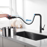 1 x RAW Customer Returns Auralum kitchen faucet black, kitchen faucet extendable, high pressure sink faucet with shower two water jet types, kitchen faucet 360 rotatable, kitchen mixer tap black - RRP €65.78