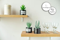 1 x RAW Customer Returns ODEZZA Artificial Plants in Pot 10x16cm Black - Set of 3 Decorative Succulents Artificial Small Modern - Artificial Plant Set for Decorating Living Room Bathroom Kitchen Balcony - Mini Artificial Plants - RRP €25.16