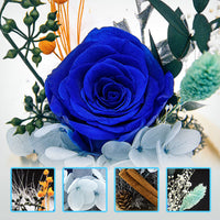 1 x RAW Customer Returns AOKKR Natural Preserved Eternal Rose, Preserved Flowers with LED Light, Handmade Blue Roses, Gift Box, Romantic Original Gifts for Women for Valentine s Day Anniversary Birthday - RRP €25.99