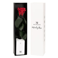 1 x RAW Customer Returns Infinity Rose red on a stem shelf life for 3 years in a gift box I Valentine s Day decorative gift I A preserved flower with rose scent I Incl. gift card - RRP €29.9