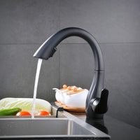 1 x RAW Customer Returns Kitchen Faucet, Black Kitchen Faucet with Pull Out Dual Spray Head, Cold and Hot Water Available - RRP €94.78