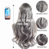 5 x Brand New RODIISKY Gray Wigs Silver Curly Wavy Wig Long Gray Wig for Women with Black Roots Everyday Cosplay Costume Party Halloween Gray Wig 26 Inches - RRP €99.95