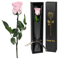 1 x RAW Customer Returns Yamonic Infinity Rose Pink with Stem Birthday Gift for Women, Real Rose Gifts for Women Eternal Rose in Gift Box, Preserved Flower for Valentine s Day, Decorative Gift, Gifts for Mom - RRP €23.99