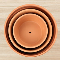 1 x RAW Customer Returns Pack of 3 terracotta clay pots flower pots with drainage hole succulent plant pots herb pot ideal for plants crafts wedding gift - RRP €25.2