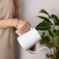 1 x RAW Customer Returns IMEEA 1L Indoor Watering Can Houseplants Modern Watering Can Smaller Potted Plants Stainless Steel Watering Can with Long Spout Comfortable Wooden Handle for Indoor Plants Plant Succulents Bonsai White  - RRP €28.99