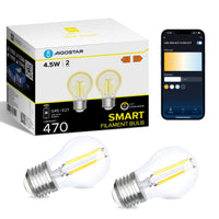 1 x RAW Customer Returns Aigostar Alexa Smart Bulb, E27 Vintage Led Bulb, G45 Transparent Globe Type, 4.5W, 470LM, Dimmable Warm to Cold 2700K to 6500K, Compatible with Alexa and Google Home, 2 Units. - RRP €20.99