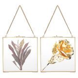 1 x RAW Customer Returns SUMNACON 2 Pack Golden Glass Hanging Artwork Display Photo Frame 20 20cm Photo Frame for Family Wedding Photo Geometric Ornament Plant Specimen Clip For Pressed Flowers Photos - RRP €26.21