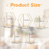 1 x RAW Customer Returns LMYDIDO Set of 5 Hexagon Wall Shelf Hanging Shelf, Metal and Wood Floating Shelf Wall Storage Organizer for Kitchen Shelf, Bathroom, Bedroom, Wall Decoration - RRP €40.33