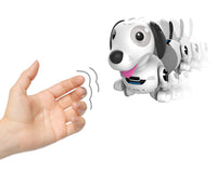 1 x RAW Customer Returns Silverlit YCOO 88586 ROBO DACKEL R by, remote controlled robot dog, toy dog for children, reacts to movements, gets his ball, follow me function, 35 cm, white, from 5 years - RRP €35.28