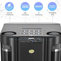 1 x RAW Customer Returns Karaoke machine, Bluetooth karaoke system with 2 microphones, speaker portable PA system karaoke set karaoke microphone with USB TF card AUX, for home party, wedding, church, picnic, outdoor black  - RRP €68.84