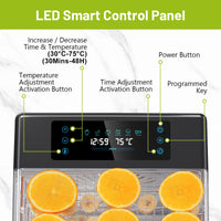 1 x RAW Customer Returns Reemix dehydrator, dehydrator with 8 removable levels, 6 drying levels, LED display 30 -75 C and 600W, 48h timer, fruit dryer, dehydrator, recipe booklet, dishwasher safe 8 levels  - RRP €94.42