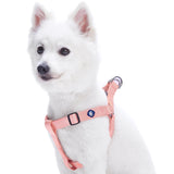 1 x RAW Customer Returns Blueberry Pet Dog Harness, Classic, Heavy Duty, Adjustable, Collar and Leash Sold Separately - RRP €13.75