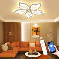 1 x RAW Customer Returns Dimmable Energy Saving LED Ceiling Lamp with App Remote Control Color Changing for Living Room Bedroom Kids Room - RRP €64.99