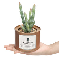 1 x RAW Customer Returns BELLE VOUS 3pcs Artificial Plants Mini Artificial Plants in Pot Green Copper - 10 x 7.5cm Succulent Artificial Cactus in Pot Set as Living Room Decoration, Office Decoration, Bathroom Decoration, Plant Decoration - RRP €35.03