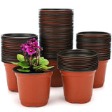 1 x RAW Customer Returns KINGLAKE 100 pieces 10 cm plant pots plant pots cultivation flower pot plastic small cultivation pots plastic pots plants garden round for seeds succulent flowers - RRP €15.35