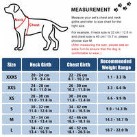 1 x Brand New PETLOFT Harness for Small Dogs, No Pull Small Dog Harness with Leash Choke Free Dog Vest Harness for Small Medium Dogs Pets Supplies Blue, S  - RRP €11.86