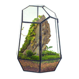 1 x RAW Customer Returns NCYP 25cm Hand-Enclosed Geometric Terrarium with Door, Tall Irregular Black Glass Vase, Succulent Cactus Flower Pot, Home Garden Decor Plants Not Included  - RRP €54.23