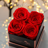 1 x RAW Customer Returns WYRIAZA Rose Box Infinity Rose Preserved - Eternal Red Real Infinite Durable Flower Box Gifts Women Mom Woman Girlfriend Wife Birthday Anniversary Christmas Valentine s Day Mother s Day - RRP €29.5