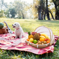 1 x RAW Customer Returns Holibanna Bamboo Fruit Basket with Fruit Fly Screen Fly Cover Serving Tray Food Cover Cover Bread Basket Cover Picnic Basket Woven Rattan Basket Basket for Snacks Vegetables Cake - RRP €30.24