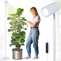 1 x RAW Customer Returns Plant lamp LED full spectrum, 20W plant light for indoor plants, height-adjustable growth lamp with timer 4 8 12H and COB plant light bulb, white stand grow light for large plants - RRP €60.49