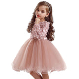 1 x RAW Customer Returns NNJXD Little Girls Lace Embroidered Appliques Princess Tutu Party Floral Dress Size 100 2-3 Years Pink - RRP €26.98