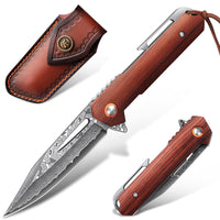 1 x RAW Customer Returns Purple Dragon Damascus folding knife pocket knife outdoor knife with VG10 Damascus steel blade, wooden handle, leather sheath, clip, ideal for camping, hiking, hunting, survival, collecting or gift - RRP €41.34