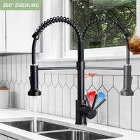 1 x RAW Customer Returns AKLFGN kitchen faucet black, high arch spring kitchen faucet with pull-out shower, kitchen faucet with 360 swivel two spray functions, kitchen sink faucet, stainless steel, AKL-CFLT-2011B - RRP €48.4