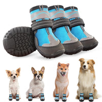 10 x Brand New Mixed pet - RRP €273.89