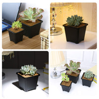 1 x RAW Customer Returns GGOUPTY Plant Pots Made of Plastic Pack of 100 5 cm Black Plastic Square Pots Plant Pot Flower Pots Cultivation Pots - RRP €15.94