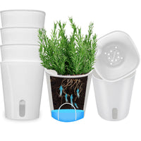 1 x Brand New SYITCUN set of 8 herb pots with watering system, 23 cm 10 cm 7.5 cm orchid pot, self-watering pot with wick system and water level indicator for indoor use, pots for herb garden kitchen - RRP €39.65