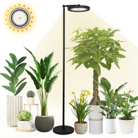 1 x Brand New Rayofly Full Spectrum LED Plant Lamp, 100W Indoor Plant Light, Adjustable Height with 4 8 12H Timer, Stand Grow Light for Large Plants - RRP €59.99