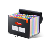 1 x RAW Customer Returns ThinkTex folder A4 document folder, 12 compartments sorting folder, compartment folder, file organizer with elastic band and closure button, A4 document bag, briefcase, organizer folder with colorful labels - RRP €14.75